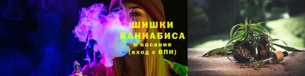 мдпв Ладушкин