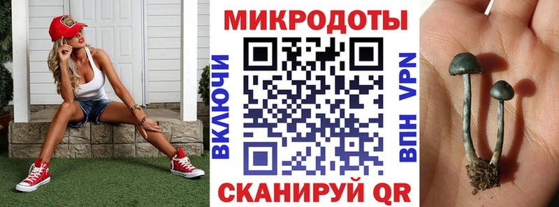 Галлюциногенные грибы мицелий  сколько стоит  Канск 