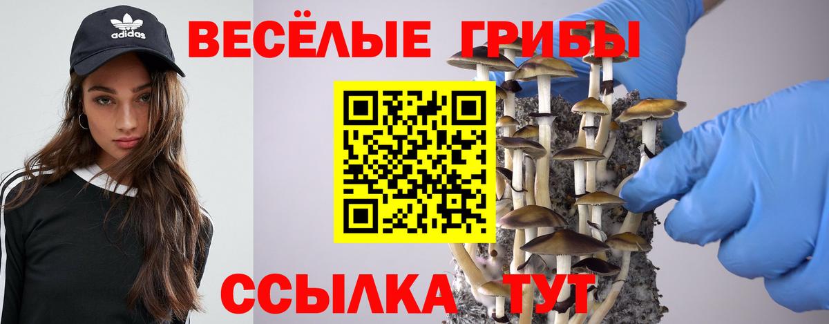 Псилоцибиновые грибы мицелий Канск