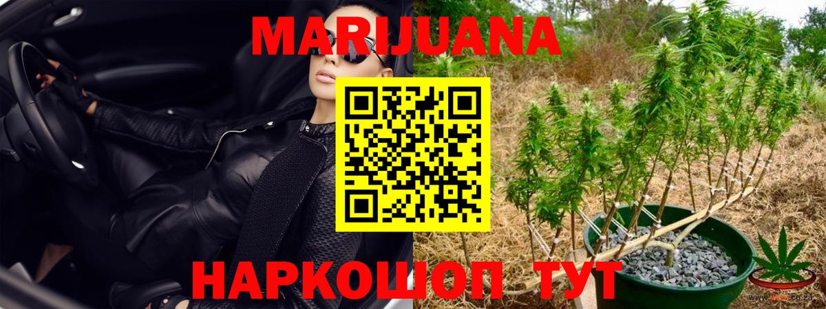 Марихуана индика  Марихуана сатива  Канск  Шишки марихуана семена  Бошки Шишки White Widow  Вход с VPN 